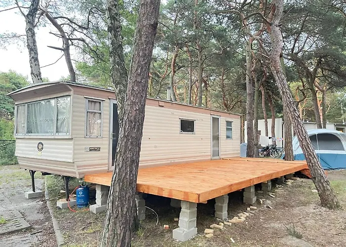 Your Camp Holender Hel